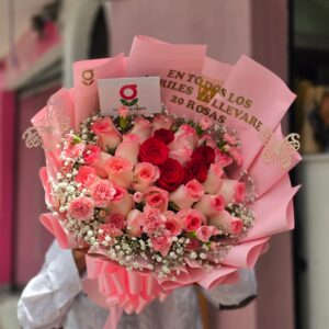RAMOS 24 ROSAS 15